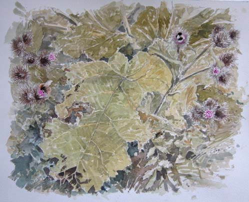Bumblebees on Burdock - Watercolour