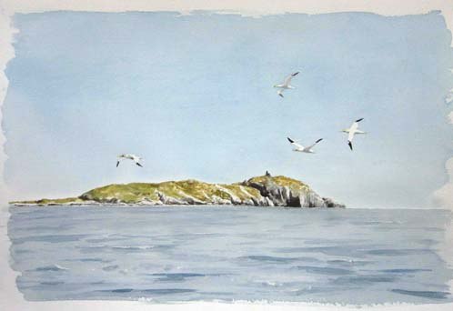 Gannets-passing-StackIsland-Watercolour