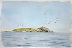 Gannets-passing-StackIsland-Watercolour